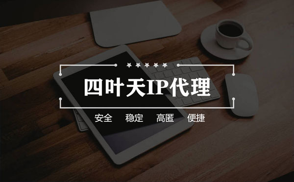 【黔西南代理IP】如何快速搭建代理IP？怎么检查代理的效果？